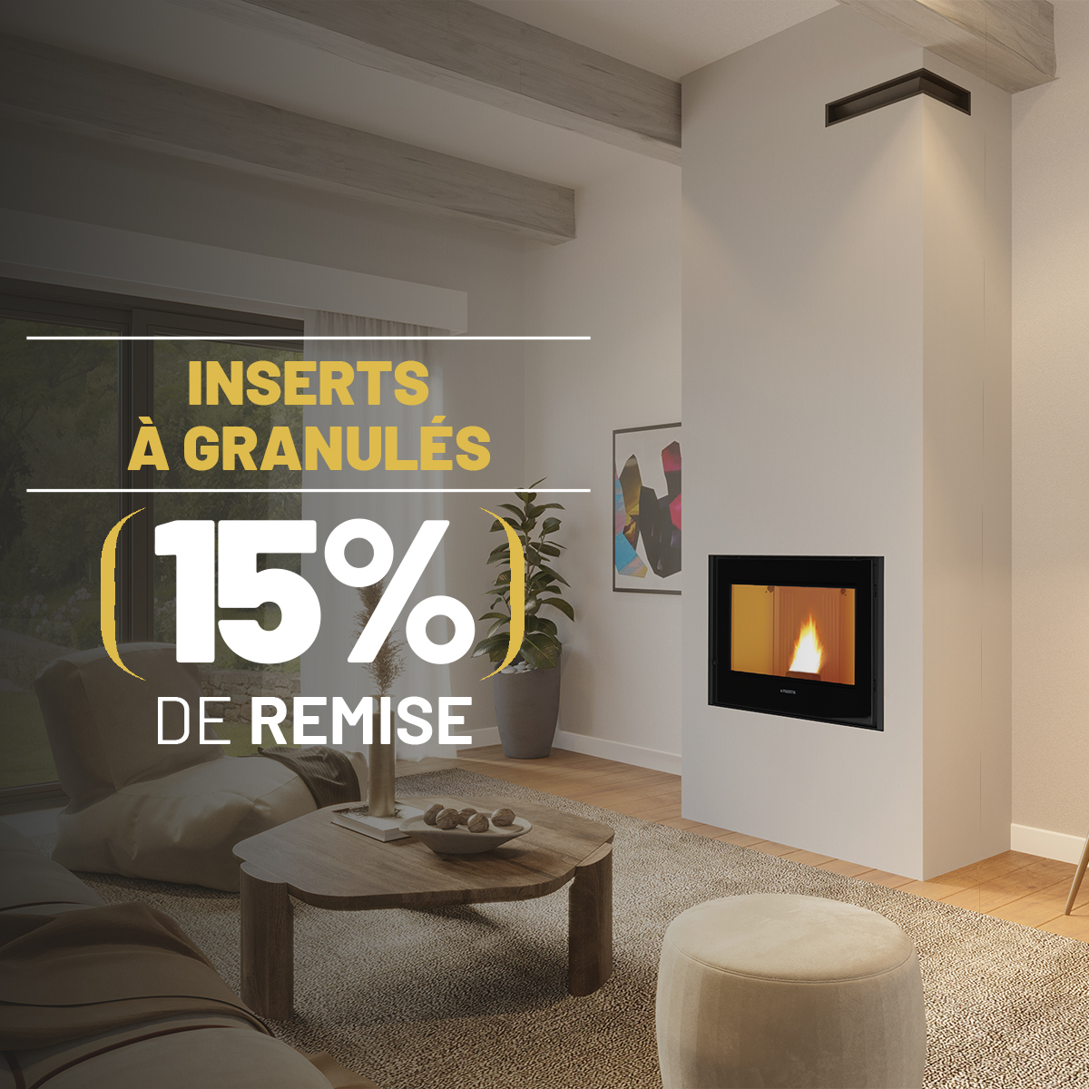 Promotion insert à granulés